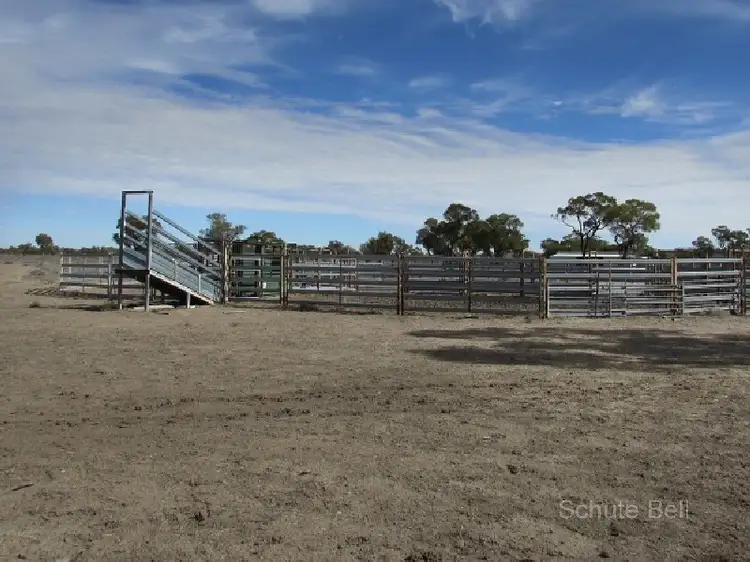 Main view of Homely rural property listing, . Westholm, Brewarrina NSW 2839