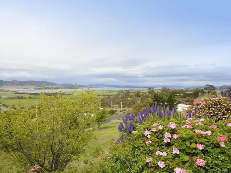 Main view of Homely house listing, 77 George Street, Dulcot TAS 7025
