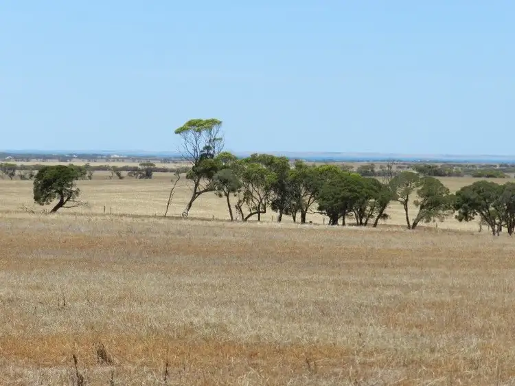 Third view of Homely rural property listing, Haslam Dog Fence Rd Haslam, Streaky Bay SA 5680