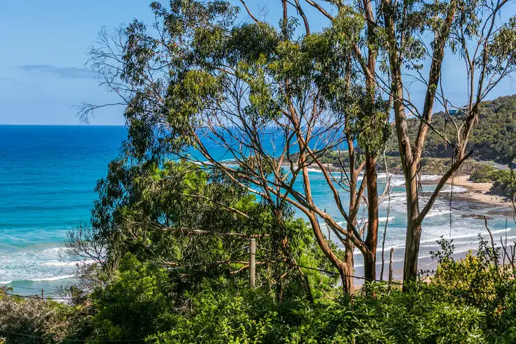 Fifth view of Homely house listing, 19 Wallace Street, Wye River VIC 3221