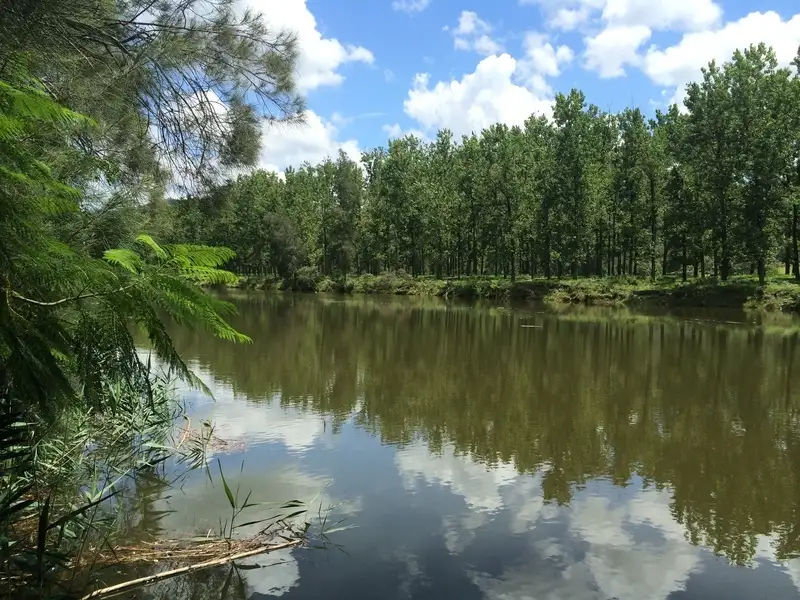 Main view of Homely land listing, 607 Settlers Rd, Lower Macdonald NSW 2775