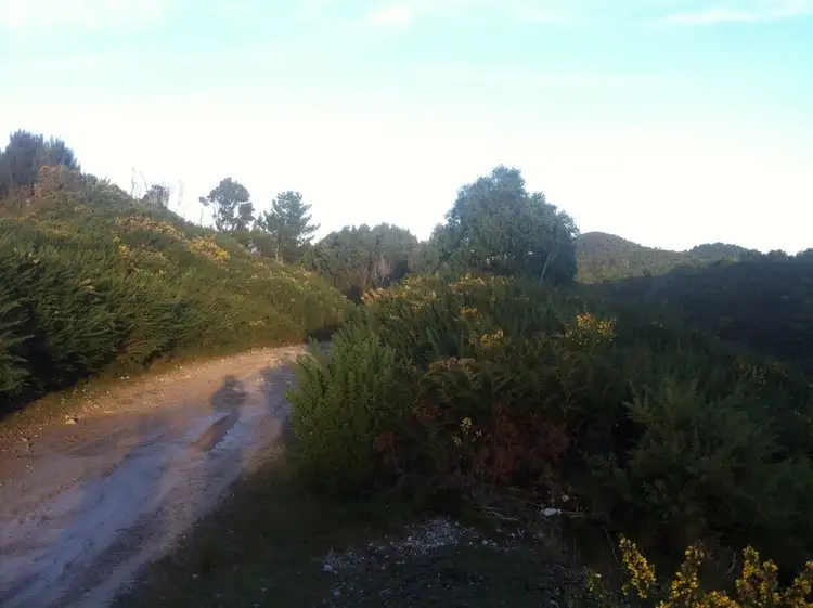 Seventh view of Homely land listing, lot 3 and 4 Counsel st, Zeehan TAS 7469