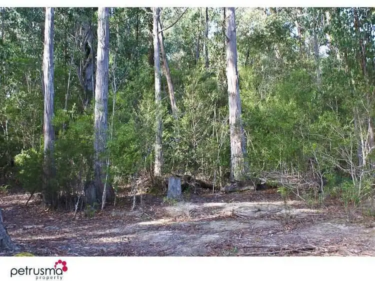 Fifth view of Homely land listing, 417 Sky Farm Road, Deep Bay TAS 7112