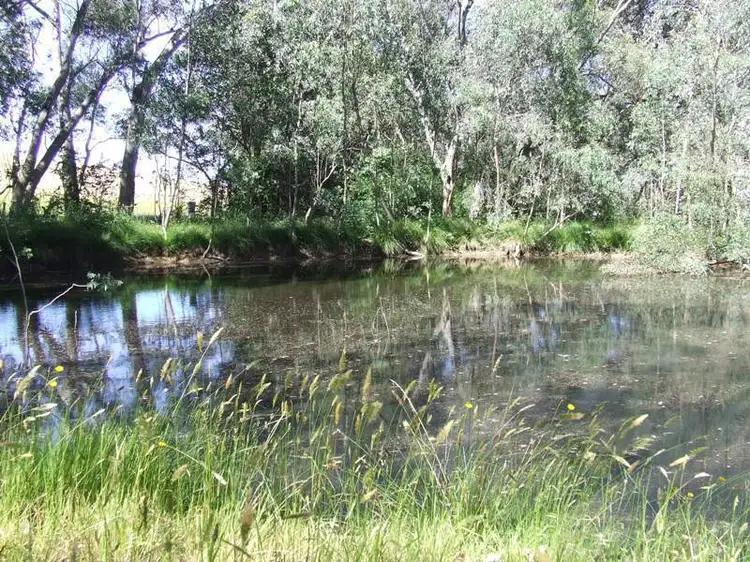 Main view of Homely land listing, CA 13 Schlapps Road, Myrtleford VIC 3737