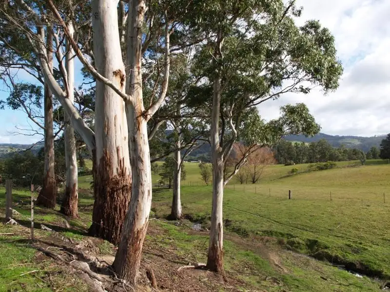 Main view of Homely land listing, Harrisons Road, Cradoc TAS 7109