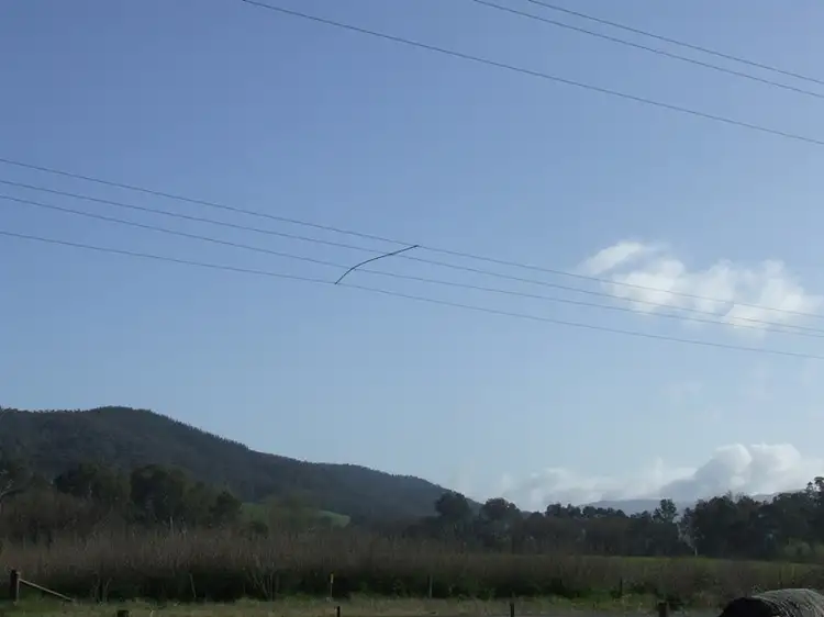 Fifth view of Homely rural property listing, 715 Buffalo RIver Road, Myrtleford VIC 3737