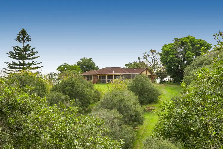 Second view of Homely rural property listing, 5 East Road, Dunoon NSW 2480