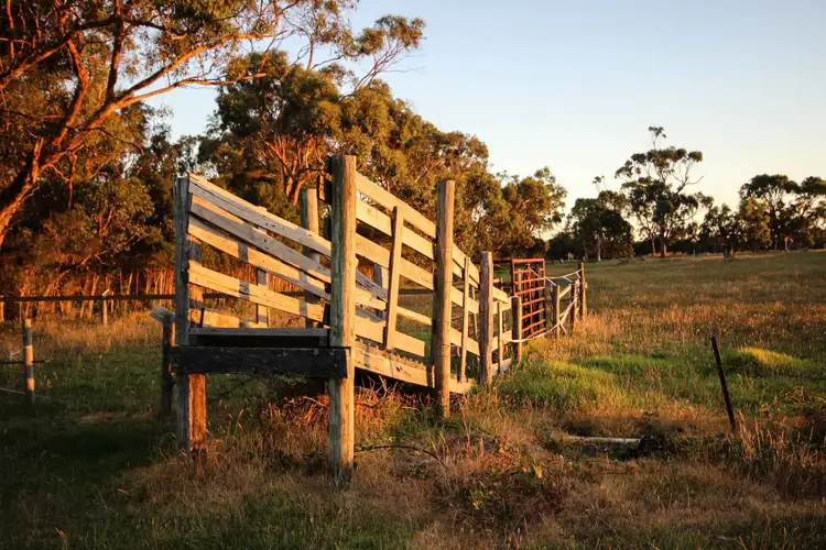 Second view of Homely rural property listing, 15 CEMETERY ROAD, Corinella VIC 3984