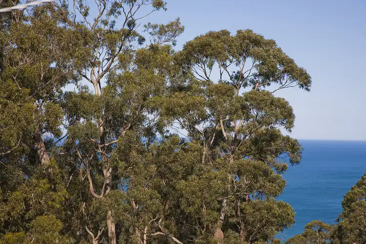 Fourth view of Homely house listing, 42 Ridge Drive, Kennett River VIC 3221