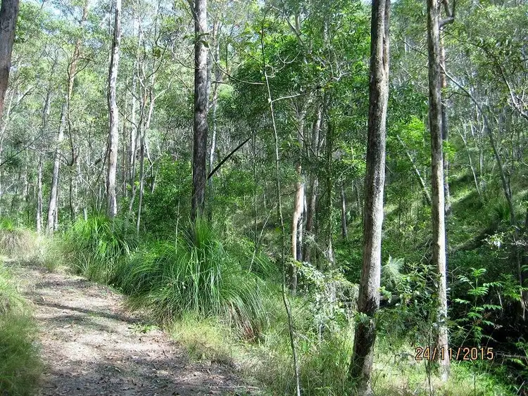 Fourth view of Homely land listing, 289 Moy Pocket Rd, Brooloo QLD 4570