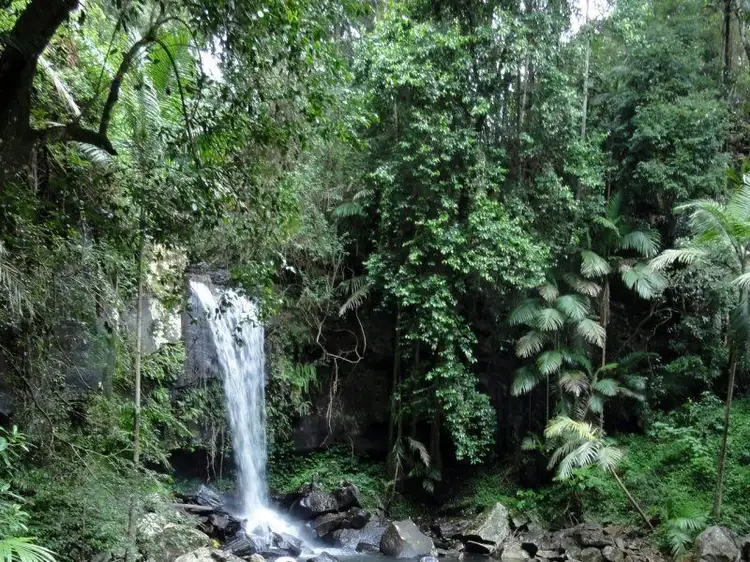 Main view of Homely house listing, 76 Cedar Creek Falls Road, Tamborine Mountain QLD 4272