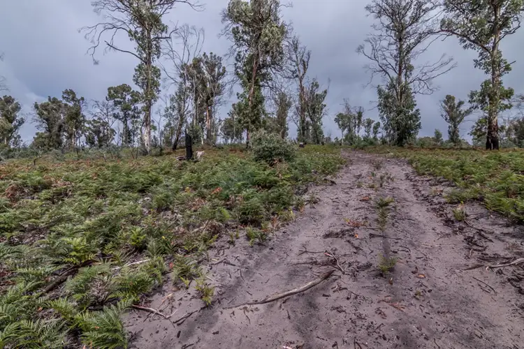 Sixth view of Homely land listing, Lot 1 Dawson Road, Ouse TAS 7140