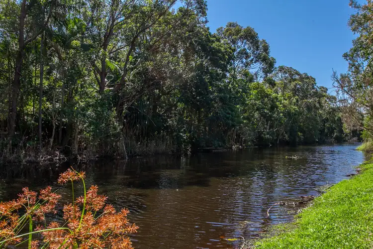 Second view of Homely unit listing, 4/19 Marattia Place, Suffolk Park NSW 2481