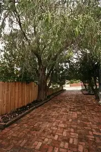 Sixth view of Homely house listing, 19 Fifth Ave, Bassendean WA 6054