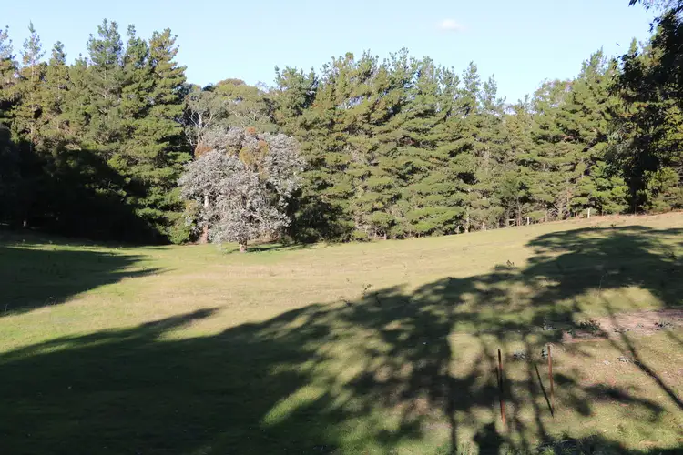 Sixth view of Homely rural property listing, 1621 Brayton Road, Brayton NSW 2579
