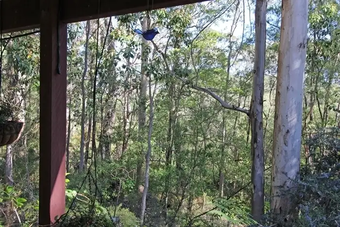 Fourth view of Homely house listing, 6 Little River Road, Denmark WA 6333