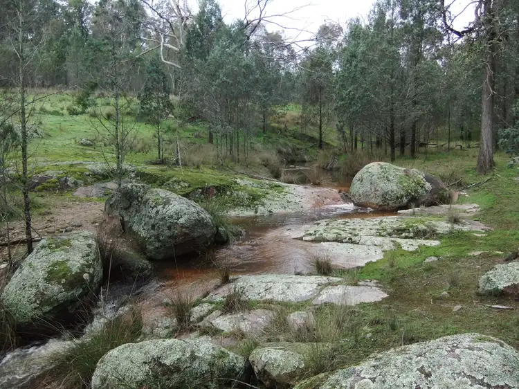 Sixth view of Homely rural property listing, 263 Ivydale Rd, Gregadoo NSW 2650