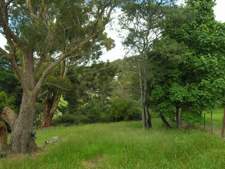 Fifth view of Homely house listing, 42 Hillborough Road, South Hobart TAS 7004