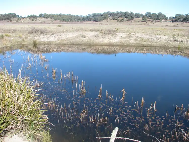 Third view of Homely rural property listing, Address available on request