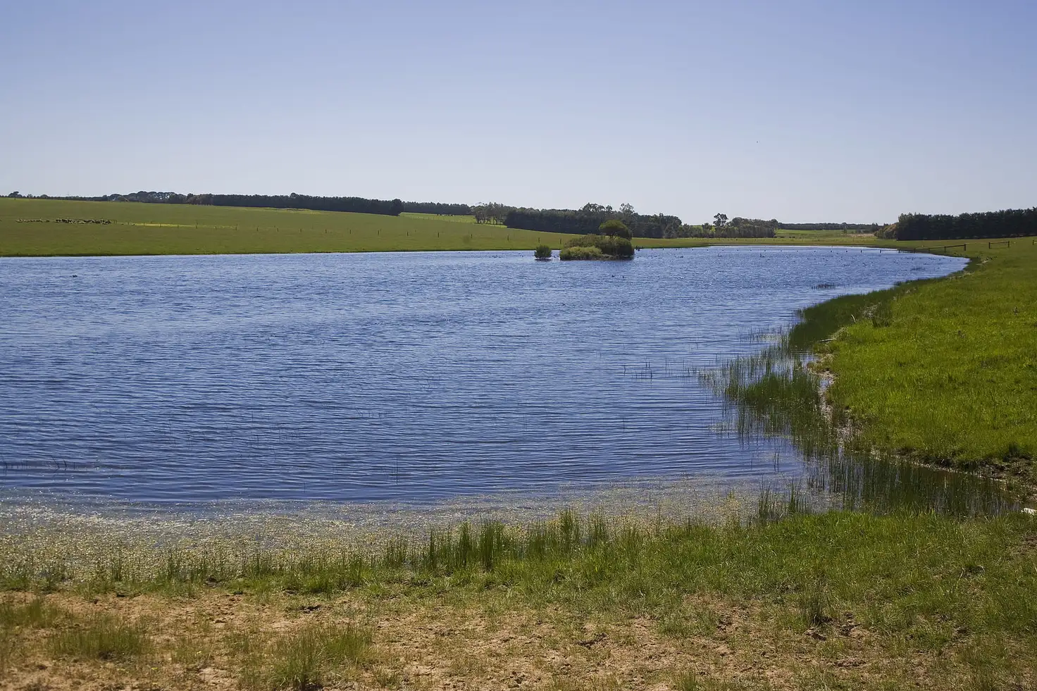 Main view of Homely rural property listing, 25 Collyers Road, Warncoort VIC 3243