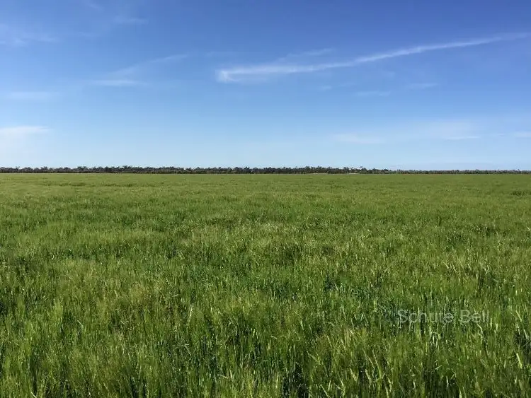 Seventh view of Homely rural property listing, . Road View, Narromine NSW 2821