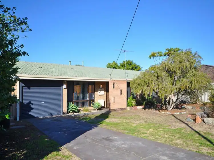 Main view of Homely house listing, 156 Camberwarra Drive, Craigie WA 6025