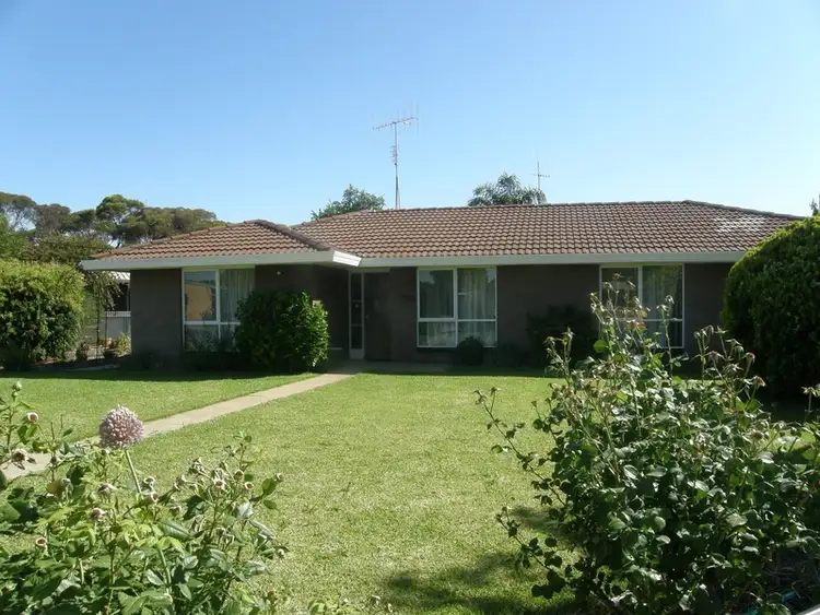 41 Church Street, Woomelang VIC 3485