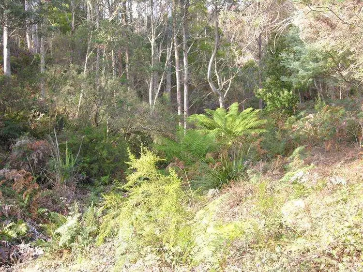 Fifth view of Homely land listing, Woolleys Road, Lonnavale TAS 7109