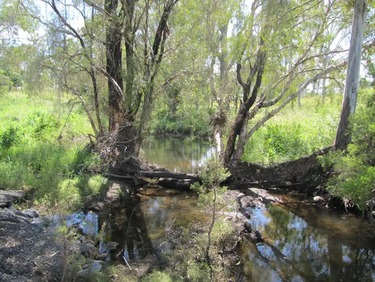 Seventh view of Homely rural property listing, 85 Tableland Rd, Calliope QLD 4680