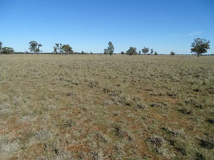 Seventh view of Homely rural property listing, - Jungle Park, Tullamore NSW 2874