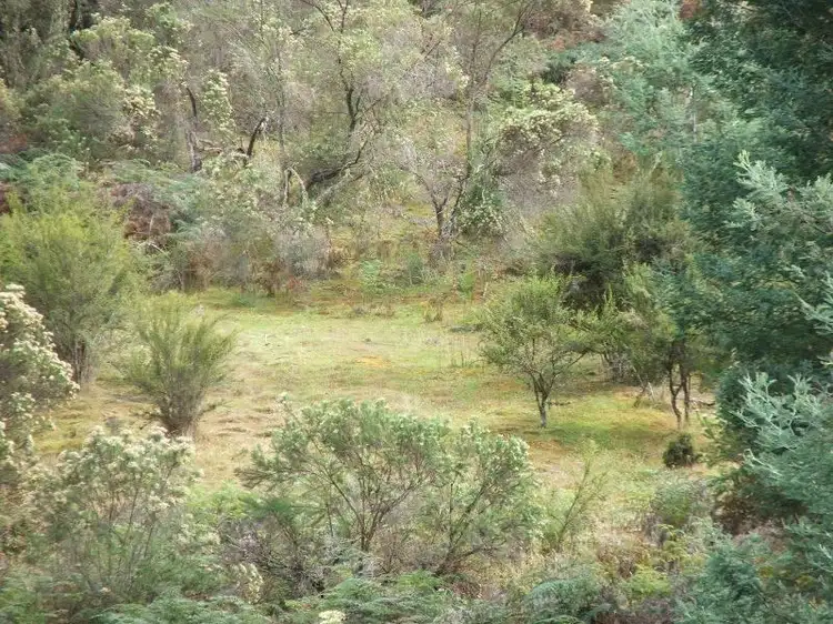 Fourth view of Homely land listing, Woolleys Road, Lonnavale TAS 7109