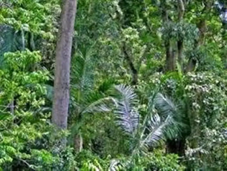 Third view of Homely rural property listing, Lot 35 Weller Road, Ravensbourne QLD 4352