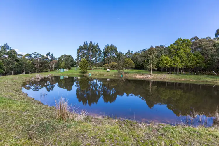 Fifth view of Homely house listing, 255 Parkers Road, Deans Marsh VIC 3235