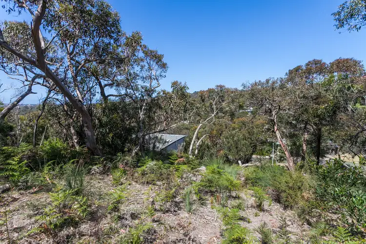 30 Niblick Street, Anglesea VIC 3230