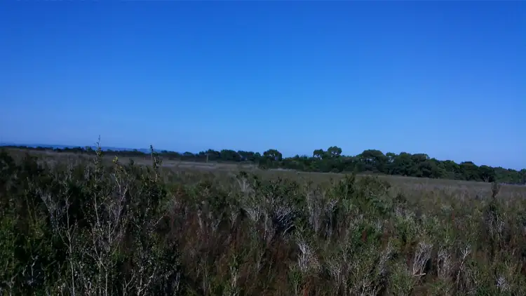Third view of Homely land listing, Lot 0 Grining Street, Strahan TAS 7468