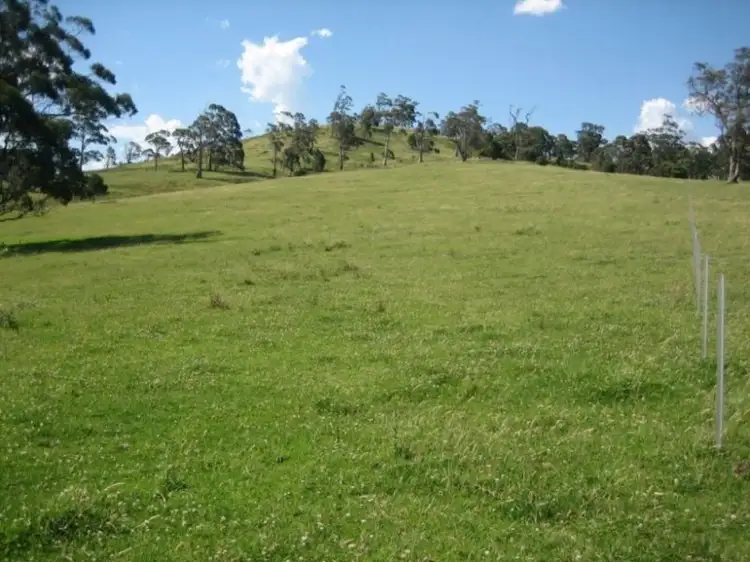 Second view of Homely rural property listing, 388C Mt Tootie Road, Bilpin NSW 2758