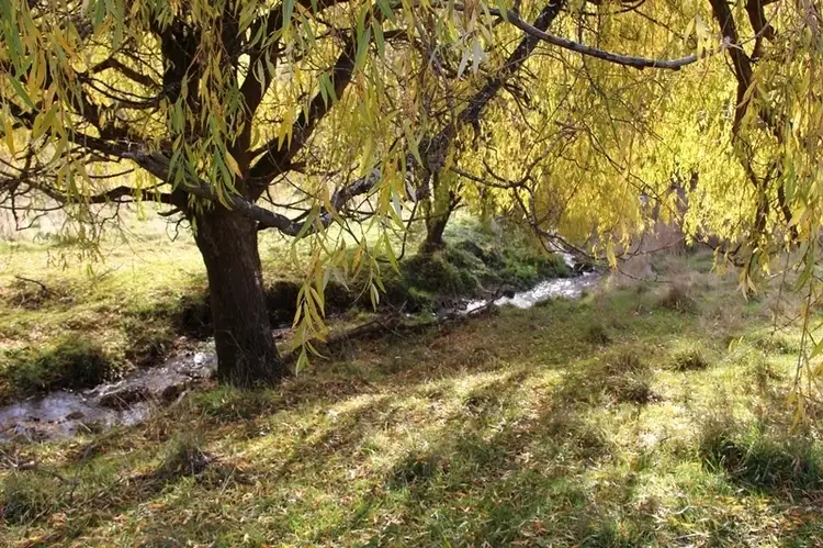 Third view of Homely land listing, Lot 2 Tunbridges Road, Glen Huon TAS 7109