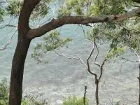Main view of Homely unit listing, 4/12 Thurlow Avenue, Nelson Bay NSW 2315