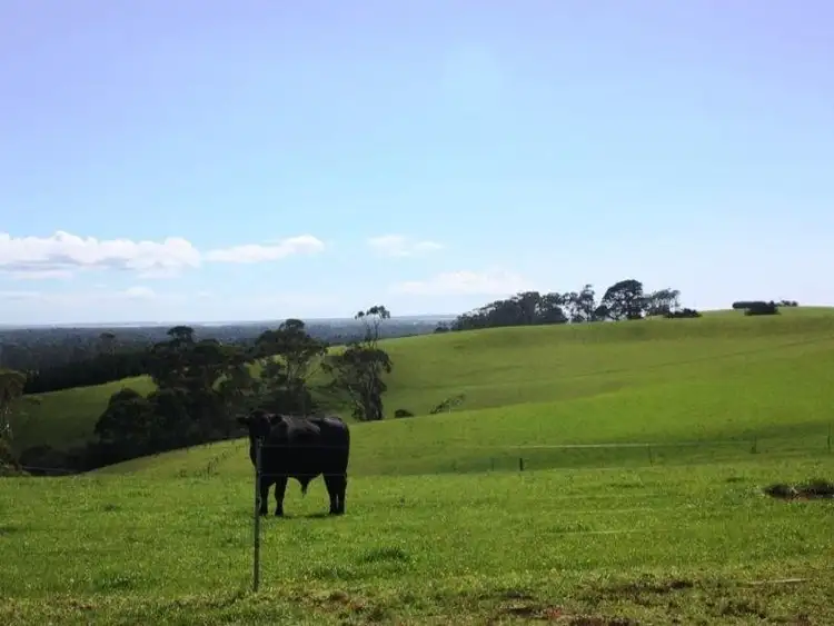 Fifth view of Homely rural property listing, 132 Scotchtown Road, Scotchtown TAS 7330