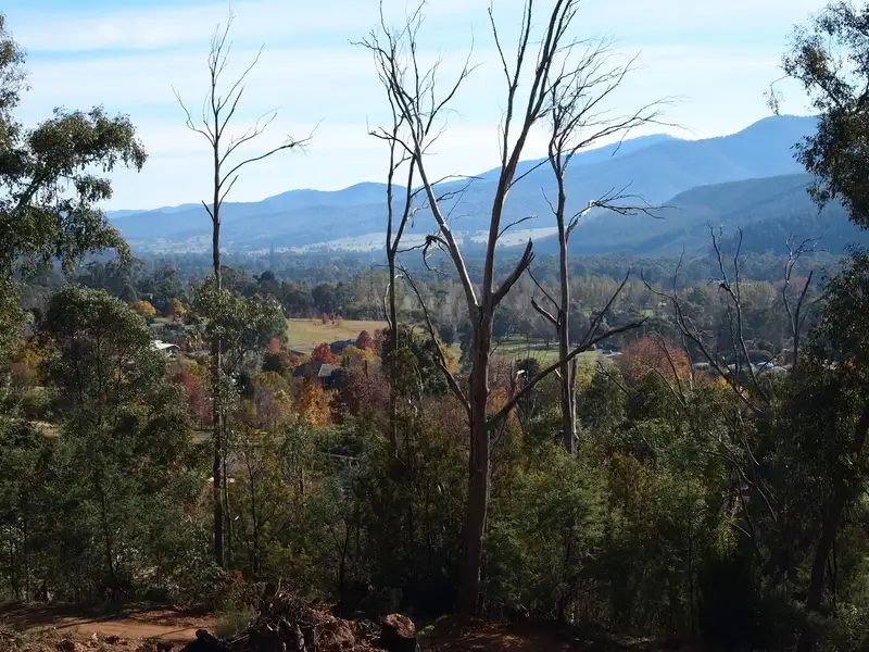 Main view of Homely land listing, Lot 1 PS524465G Walkers Lane, Bright VIC 3741