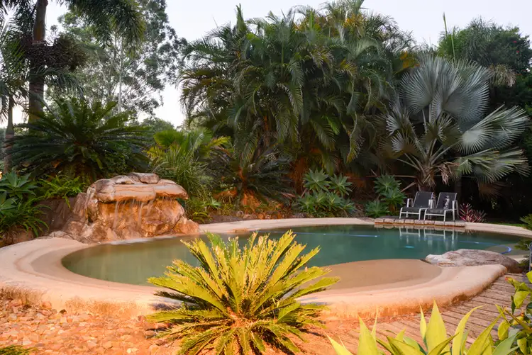 Fifth view of Homely rural property listing, 30 Bamboo Road, Palmwoods QLD 4555