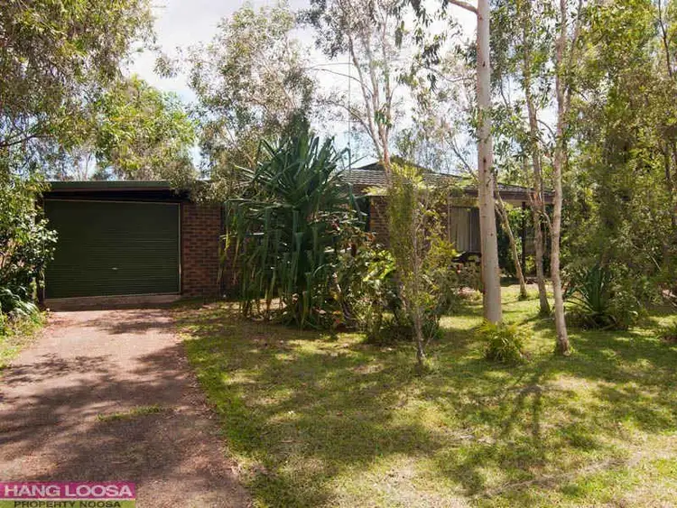 102 Read Street, Tewantin QLD 4565