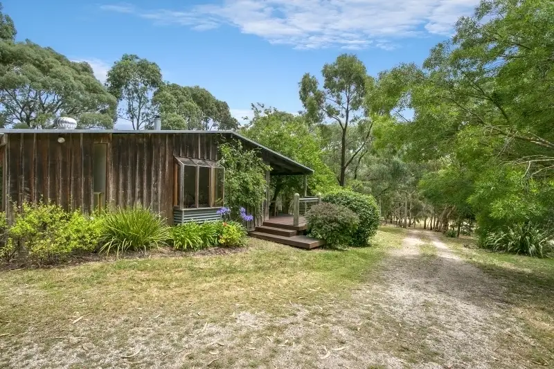 Main view of Homely house listing, 155 Bambra Cemetery Road, Deans Marsh VIC 3235