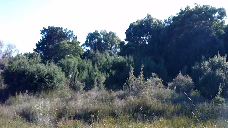 Sixth view of Homely land listing, Lot 8 Harrison Street, Strahan TAS 7468