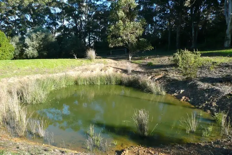 Sixth view of Homely rural property listing, Lot 50 Wishart Close, Denmark WA 6333