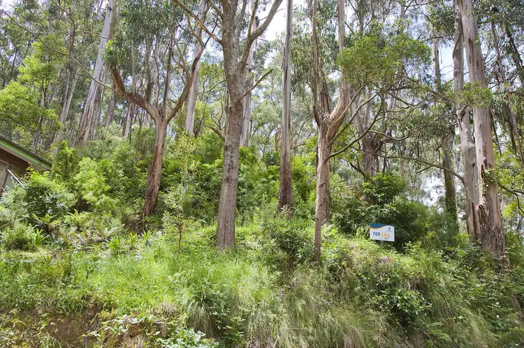Main view of Homely land listing, 15 Karingal Drive, Wye River VIC 3221