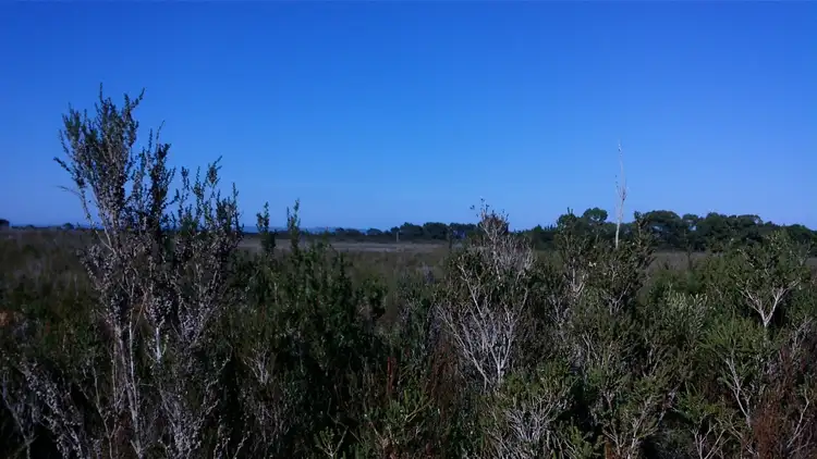 Seventh view of Homely land listing, Lot 0 Grining Street, Strahan TAS 7468