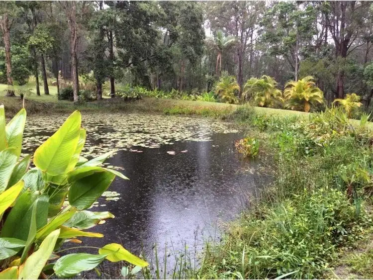 Main view of Homely house listing, 507 Cootharaba Road, Cootharaba QLD 4565