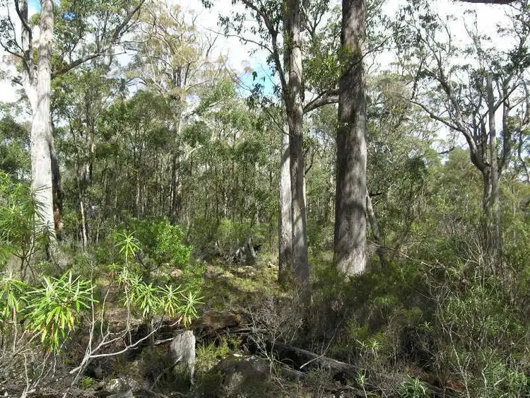 Seventh view of Homely land listing, Off Reeves Road, Pelverata TAS 7150