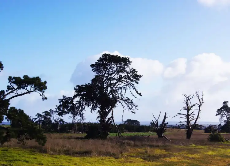 Sixth view of Homely house listing, 41 CUTTY SARK ROAD, Coronet Bay VIC 3984